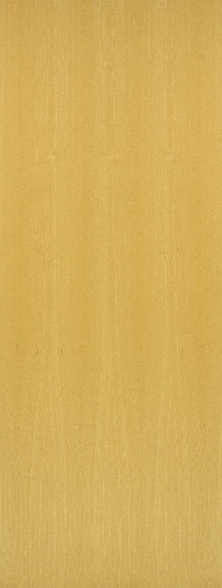 Fd60 Ash Fire Door Natural 2